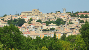 Traitement punaises de lit Cavaillon