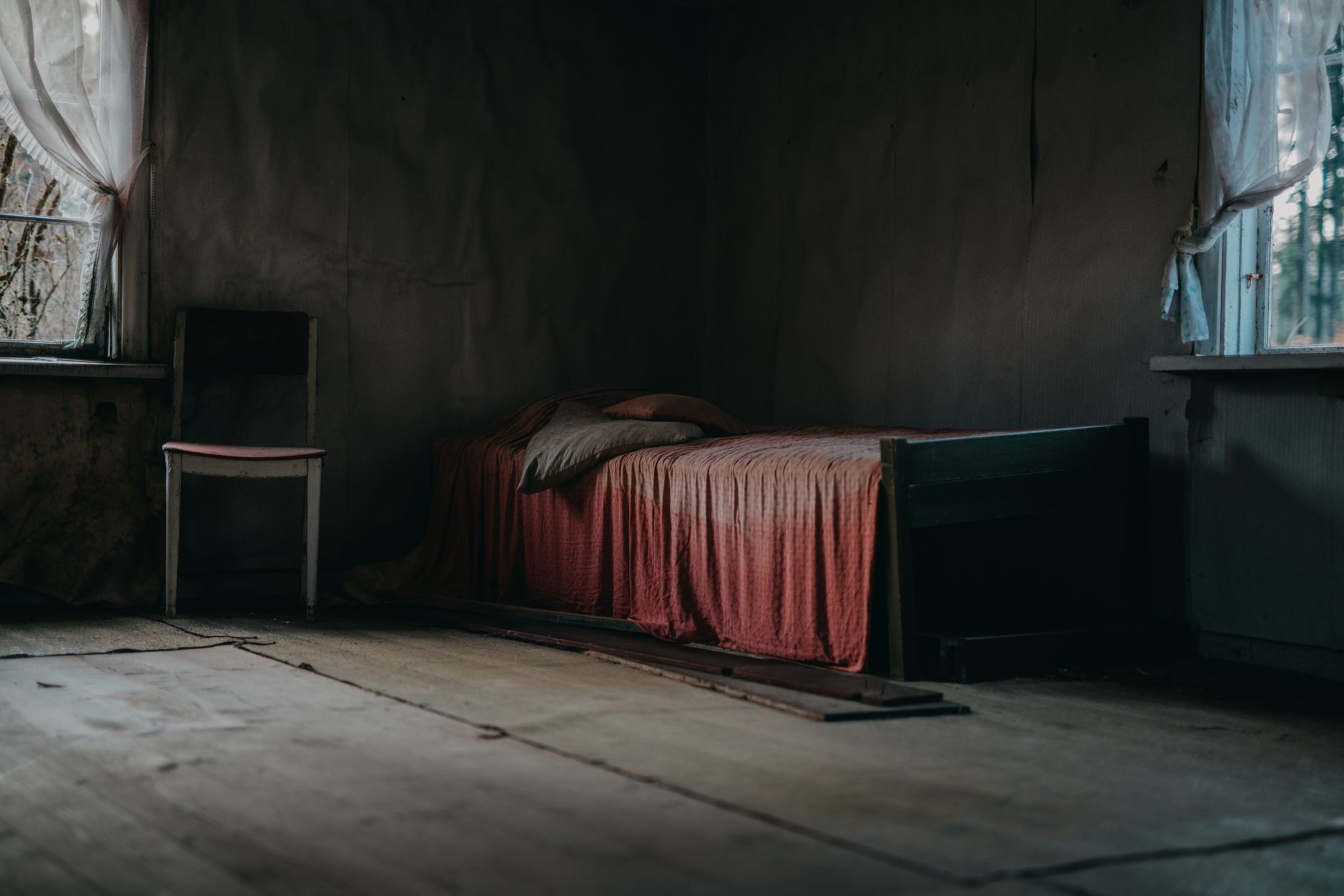 Traitement punaises de lit à Cavaillon